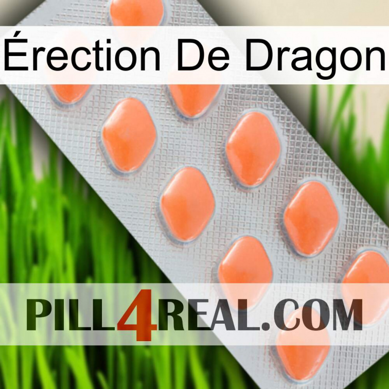 Érection De Dragon 26